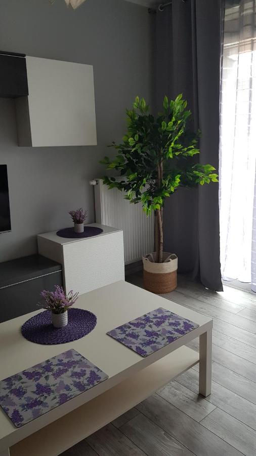 Boznicza Old Town Lux Apartment, Self Check-In 24H, Free Parking 波兹南 外观 照片