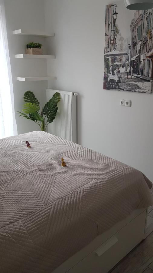 Boznicza Old Town Lux Apartment, Self Check-In 24H, Free Parking 波兹南 外观 照片