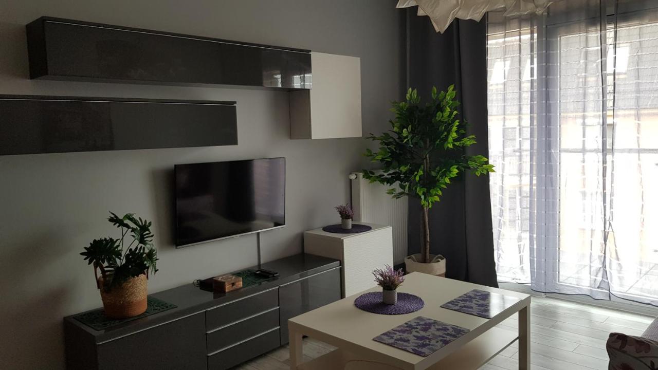 Boznicza Old Town Lux Apartment, Self Check-In 24H, Free Parking 波兹南 外观 照片